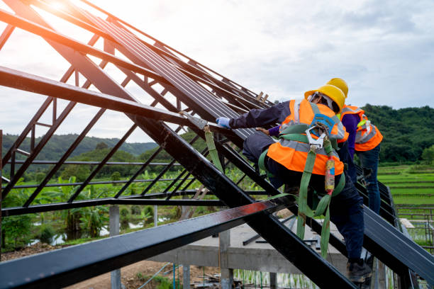 Best Metal Roofing Contractor  in Sussex, WI